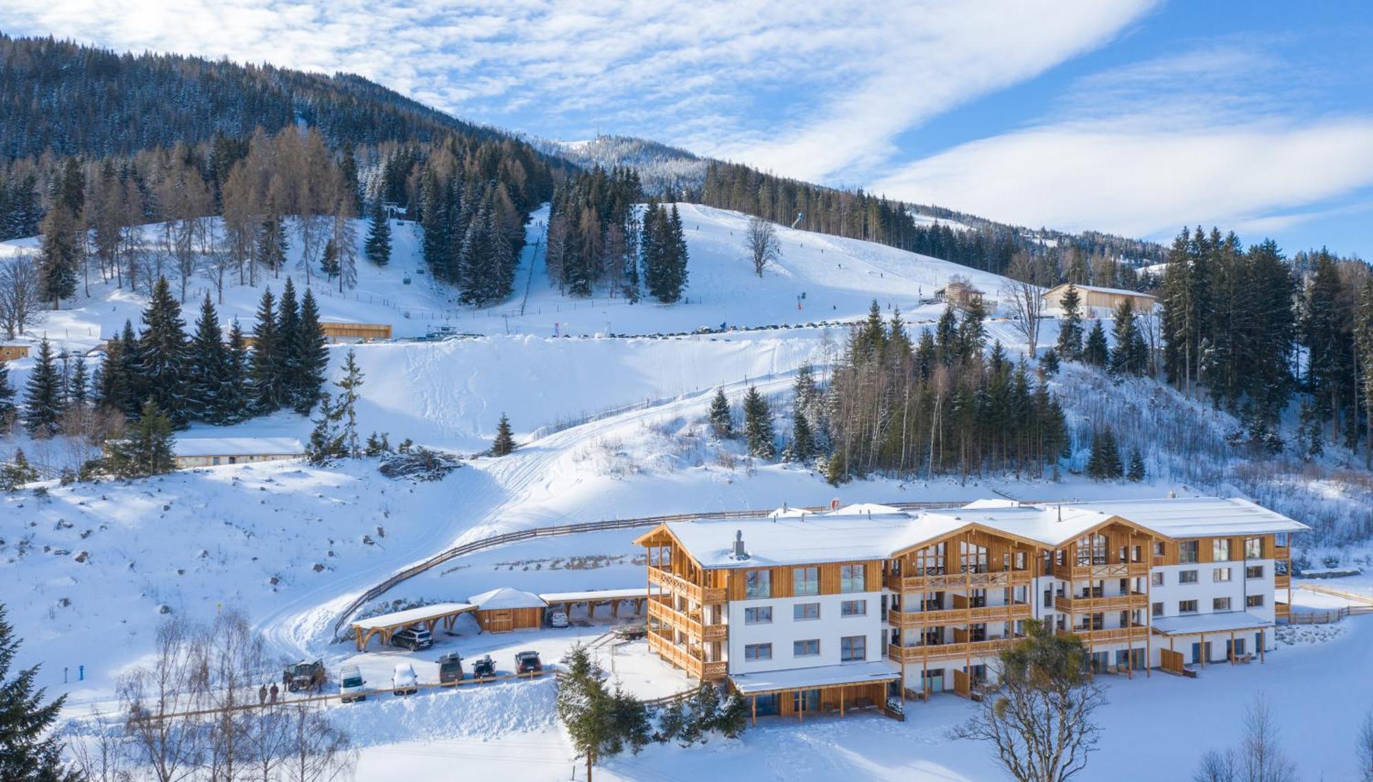 Skylodge Alpine Homes Haus im Ennstal Buitenkant foto