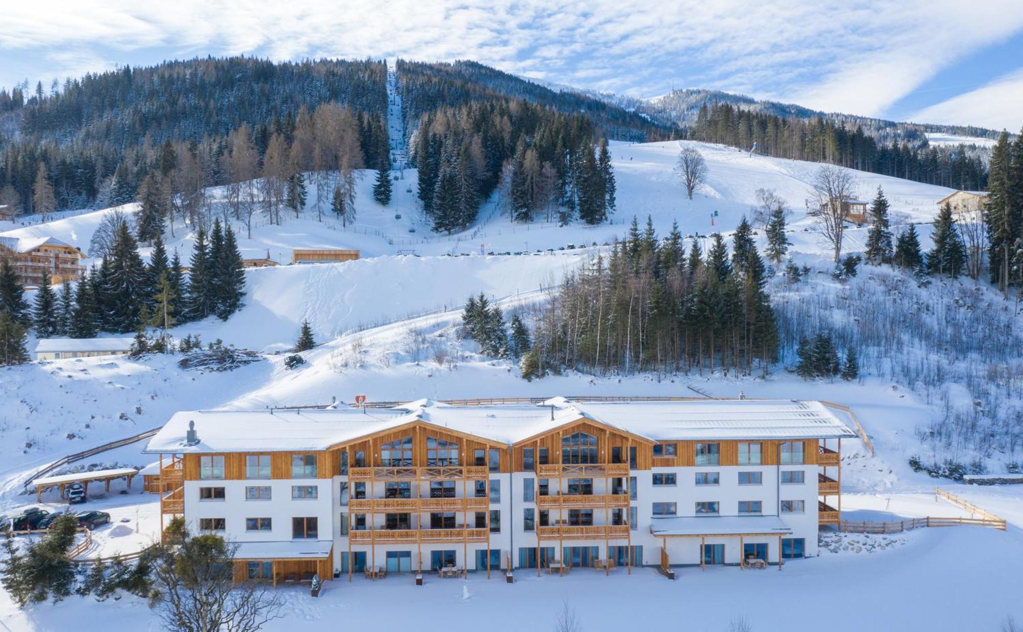 Skylodge Alpine Homes Haus im Ennstal Buitenkant foto